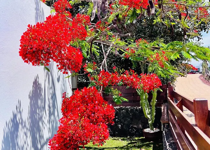 וילה Casa Arima פלאיה בלנקה