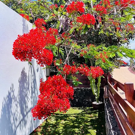 ヴィラ Casa Arima プラヤ・ブランカ